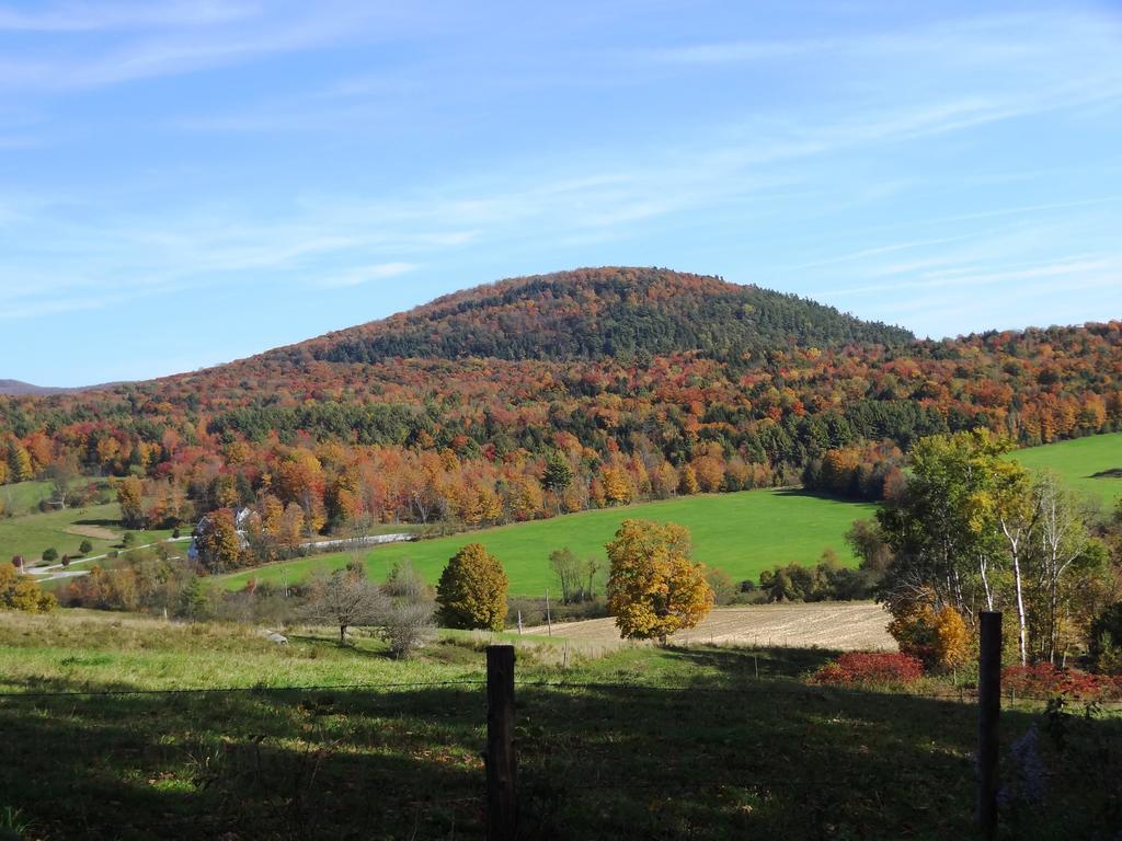 Inn At Buck Hollow Farm Fairfax Экстерьер фото